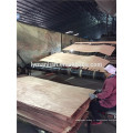 Usine de production de placages PLB en Chine, stratifié de bois naturel